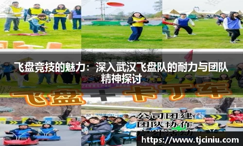 飞盘竞技的魅力：深入武汉飞盘队的耐力与团队精神探讨